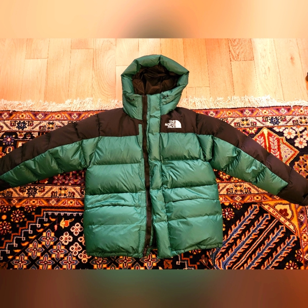 Northface Mens 550 Down Puffer Jacket